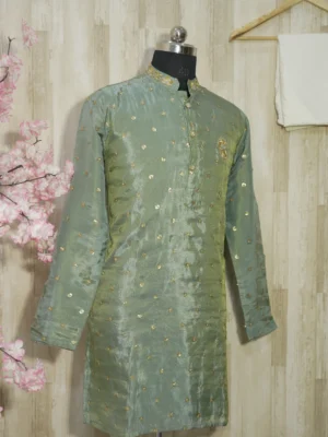 Sage Green Silk Kurta with Gold Sequin Embroidery
