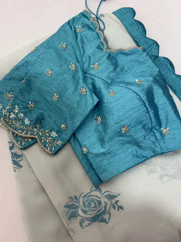 Pure georgette saree having pretty scalap border paired with maggam work blouse