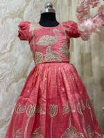 Designer applique work crush organza skirt paired with matching top