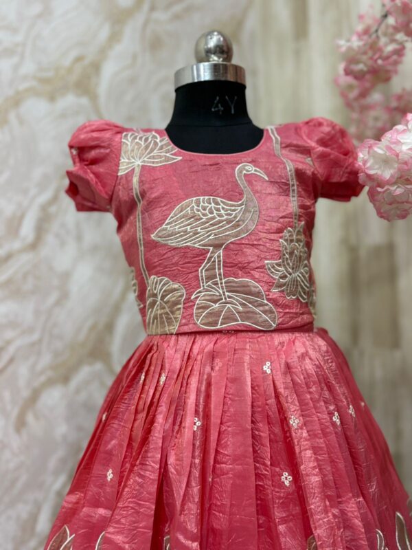 Designer applique work crush organza skirt paired with matching top