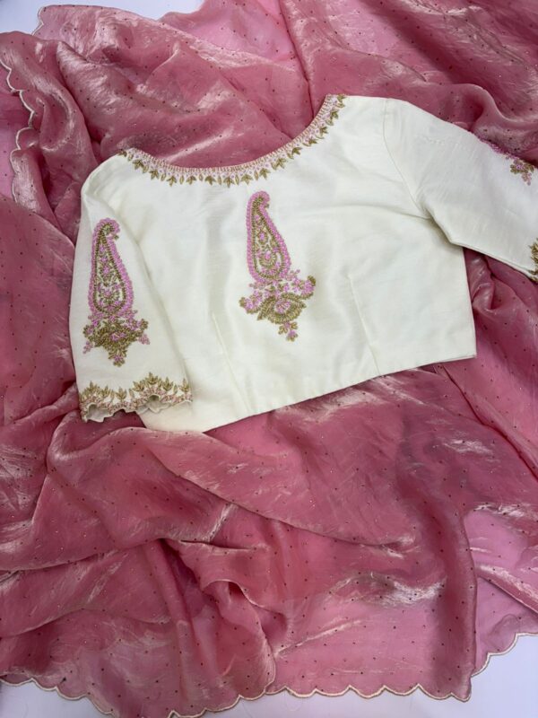 Tissue saree paired with maggam work blouse