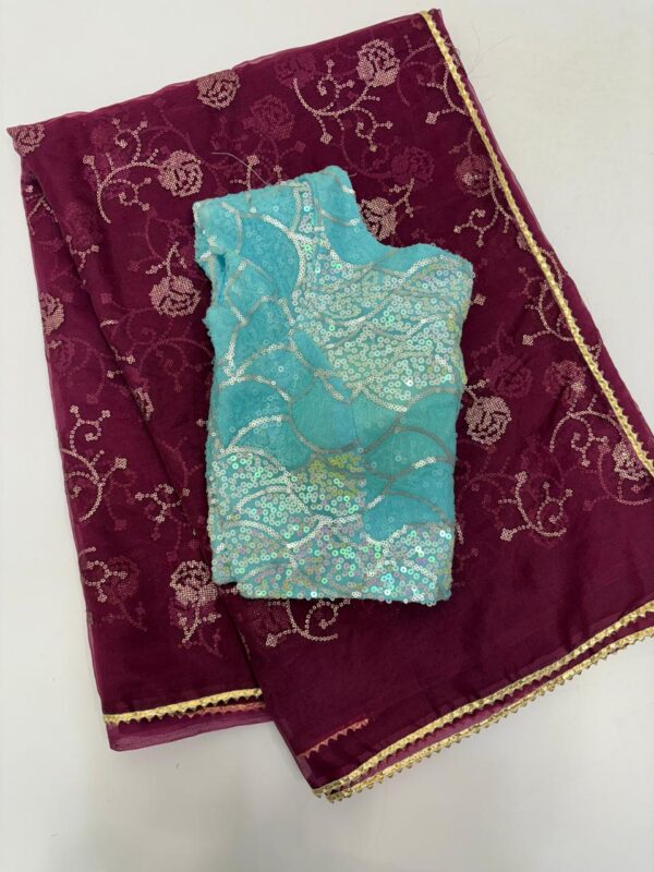 Beautiful saree with matching blouse