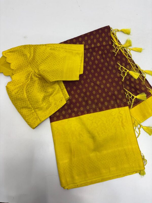 Beautiful saree with matching blouse