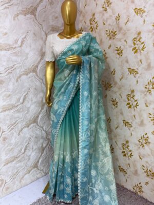 Falling organza with embroidery work paired with beautiful blouse