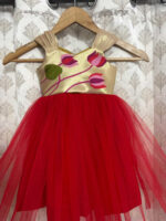 Beautiful frock for kid’s for the age 6 months to 1 year
