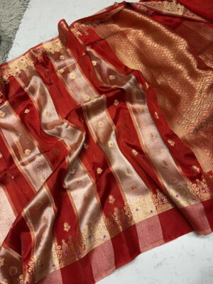Premium tissue saree with beautiful border & pallu