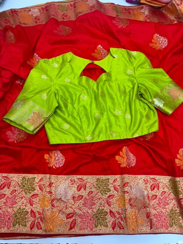 Beautiful saree with blouse