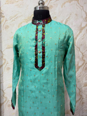 Tissue kurta with patola collar, placket & hand border with pijama